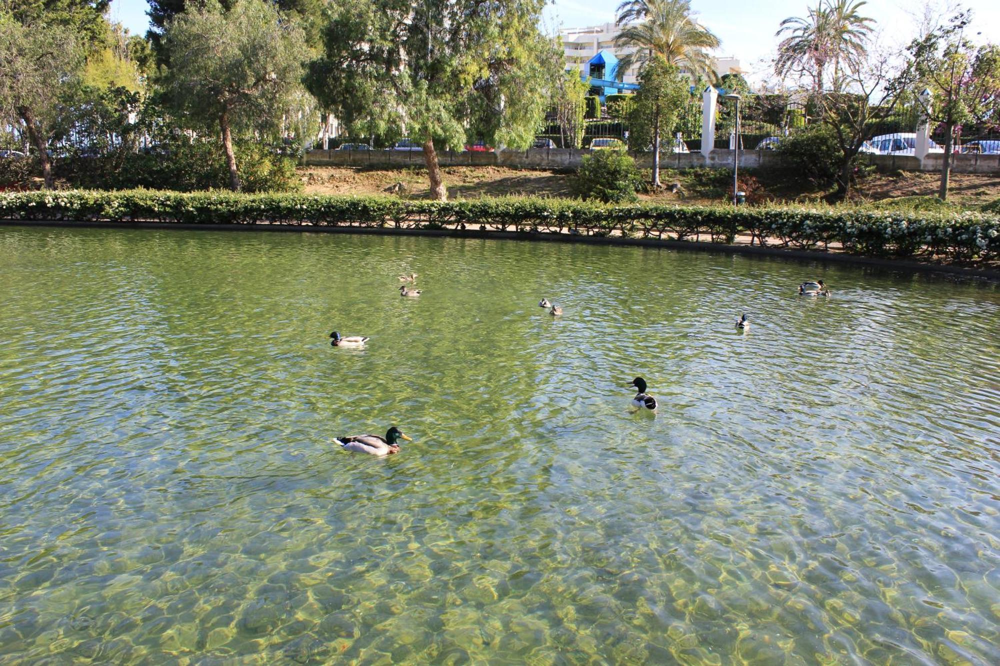 Apartmán Águila 110 Benalmádena Exteriér fotografie
